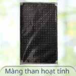 Màng than