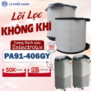 Lõi lọc tương thich máy Electrolux PA91-406GY - Lõi lọc không khí PA91-406GY - Tấm lọc không khí