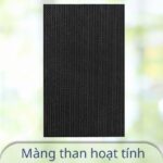Màng than