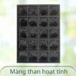 Màng than