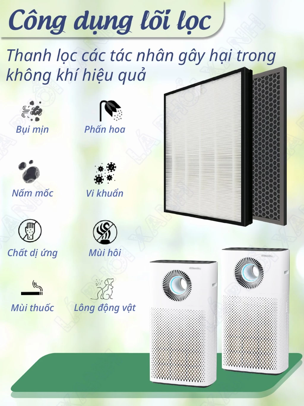 Màng lọc tương thích máy Coway AP-1516D - Màng lọc không khí chất lượng cao cho máy lọc không khí - Ảnh 6